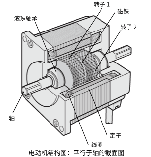 電動(dòng)機(jī)結(jié)構(gòu)圖：與軸平行的剖面圖